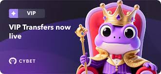 Cybet Casino Review Explore the Future of Online Gaming